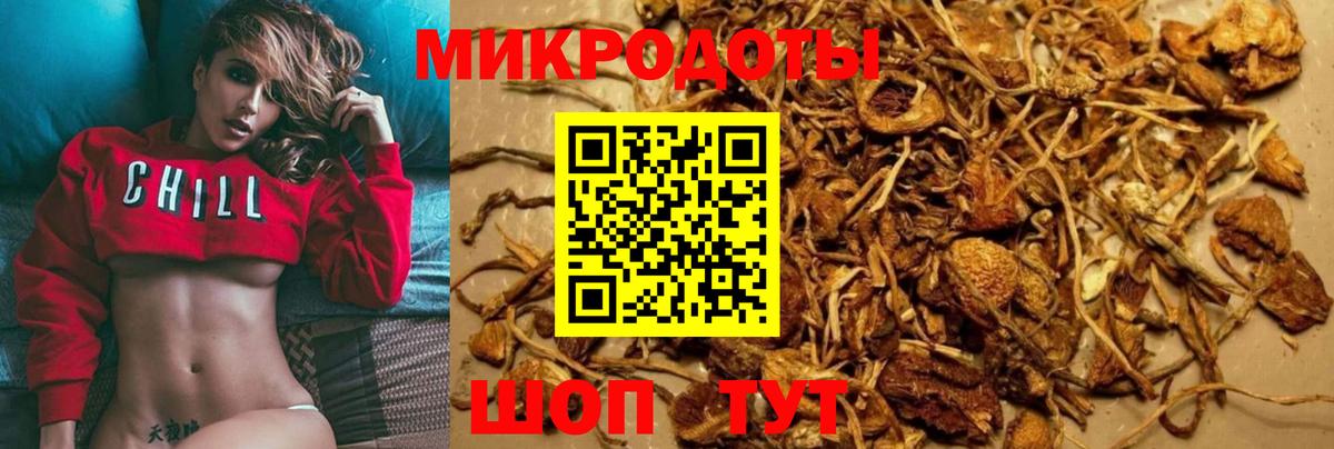 Элиста  Галлюциногенные грибы Magic Shrooms  Вход с VPN  Псилоцибиновые грибы мухоморы 
